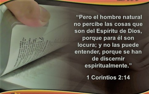 Image result for 1 CORINTIOS 2:14